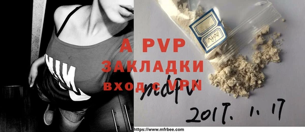 ГАЛЛЮЦИНОГЕННЫЕ ГРИБЫ Переславль-Залесский