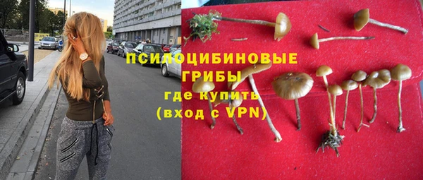 Альфа ПВП Аша