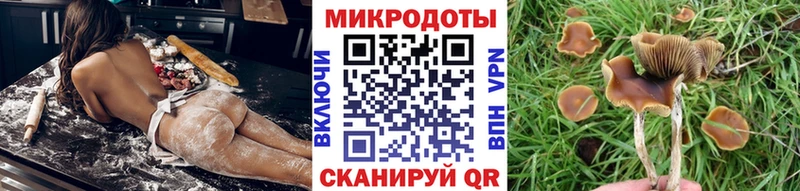 Галлюциногенные грибы прущие грибы Невельск