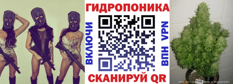 закладка Невельск Бошки марихуана семена